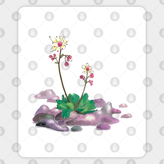 February 8th birthday flower Magnet by birthflower